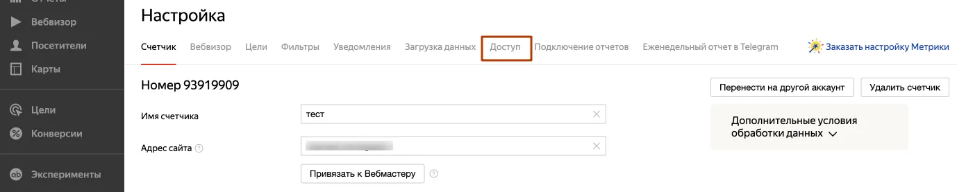 Вкладка «Доступ» в настройках счётчика Метрики