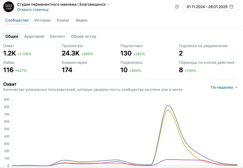Студия перманентного макияжа: материал кейса